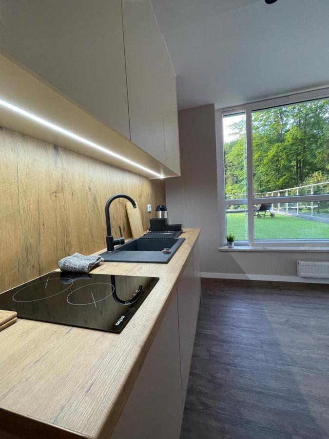 Apartament Kurort Kozubnik - Taras nad Potokiem Porąbka Zewnętrze zdjęcie