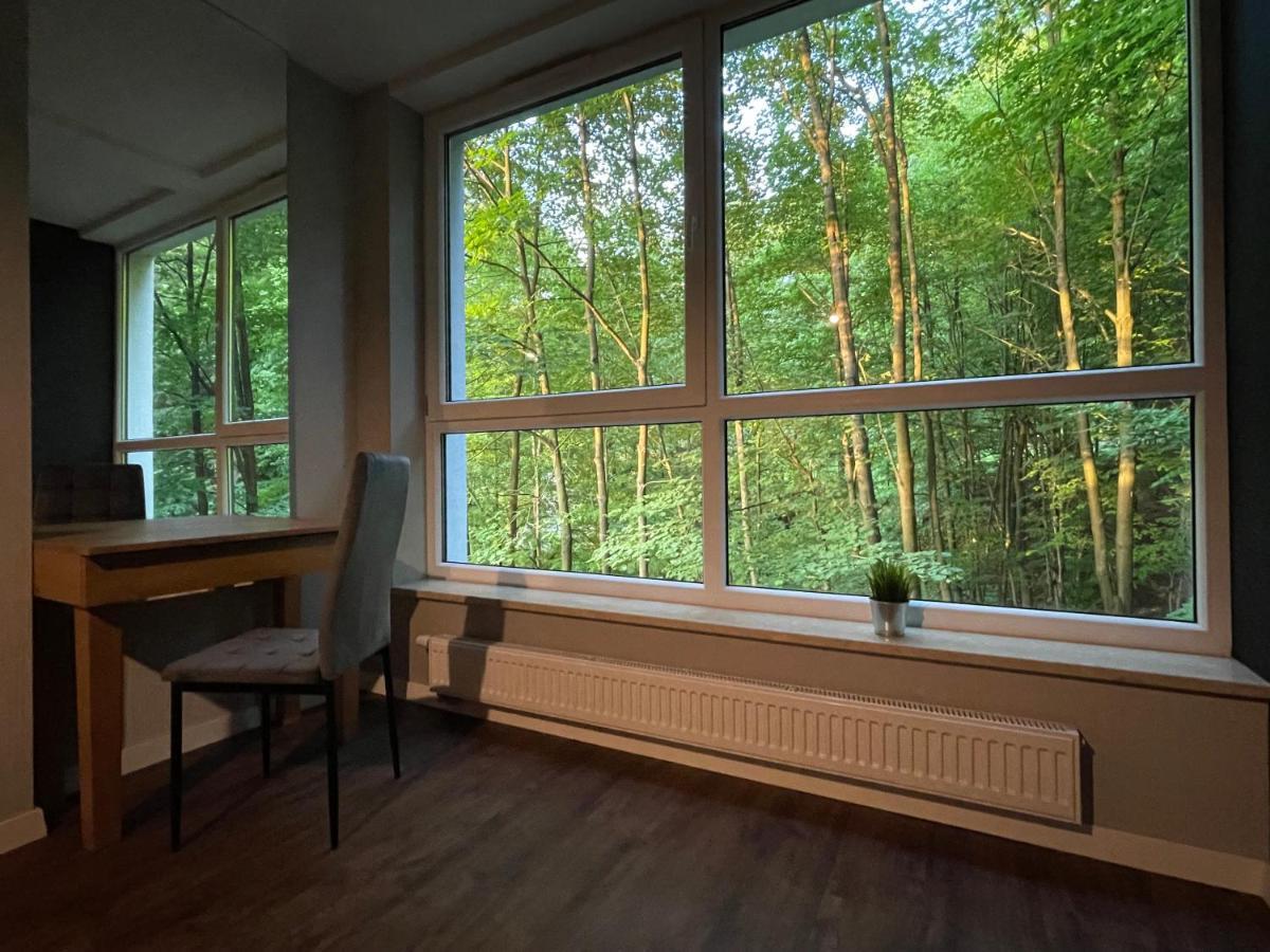Apartament Kurort Kozubnik - Taras nad Potokiem Porąbka Zewnętrze zdjęcie