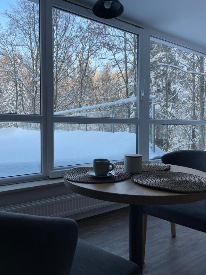 Apartament Kurort Kozubnik - Taras nad Potokiem Porąbka Zewnętrze zdjęcie